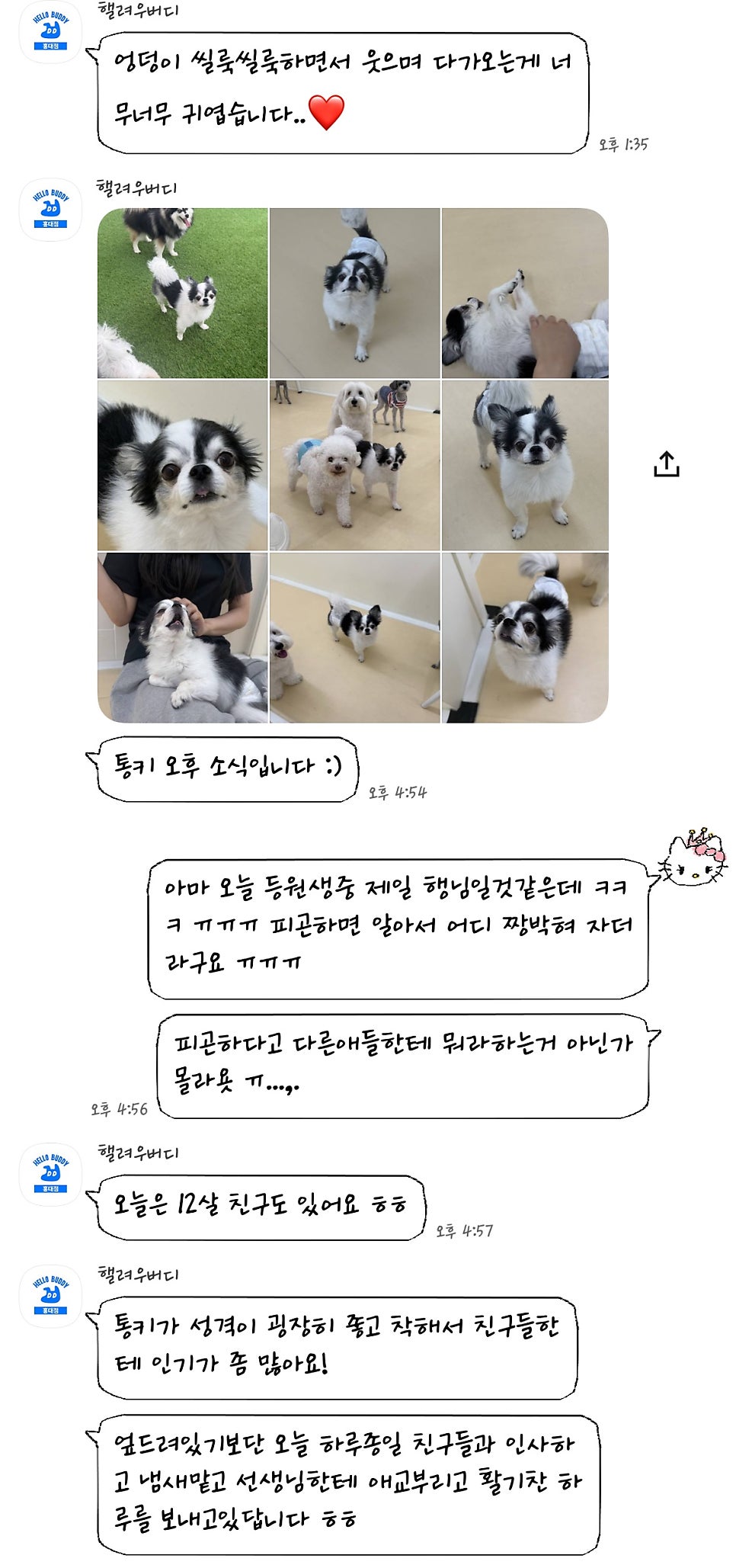 홍대 헬로우버디 애견유치원, 미용 후기 및 비용 안내 — 사진 14