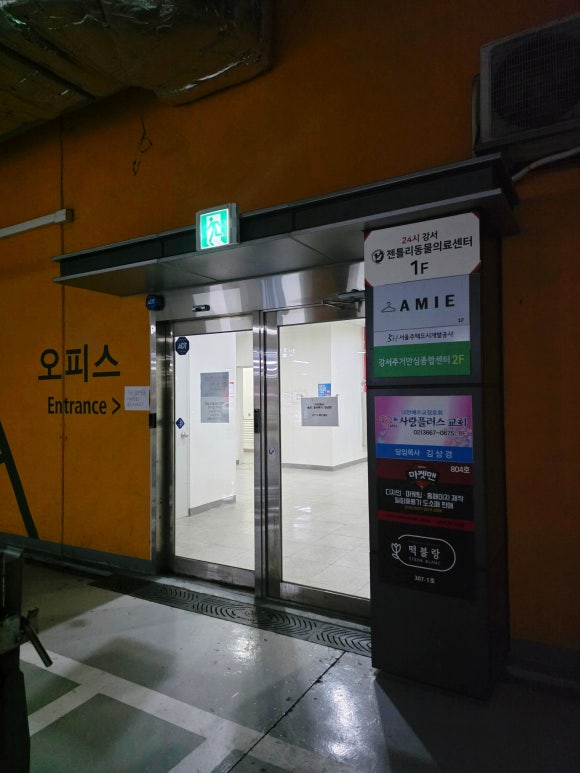 떡블랑 사진 8