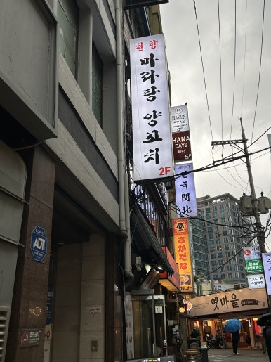 천향 사진 7