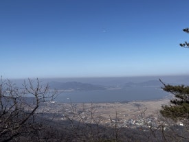 오띠젤리 사진 7
