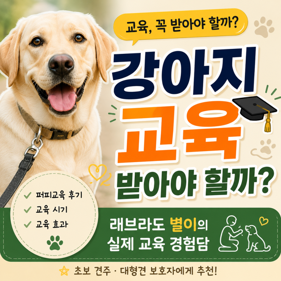 강아지 훈련, 언제 시작할까? 퍼피 교육 후기