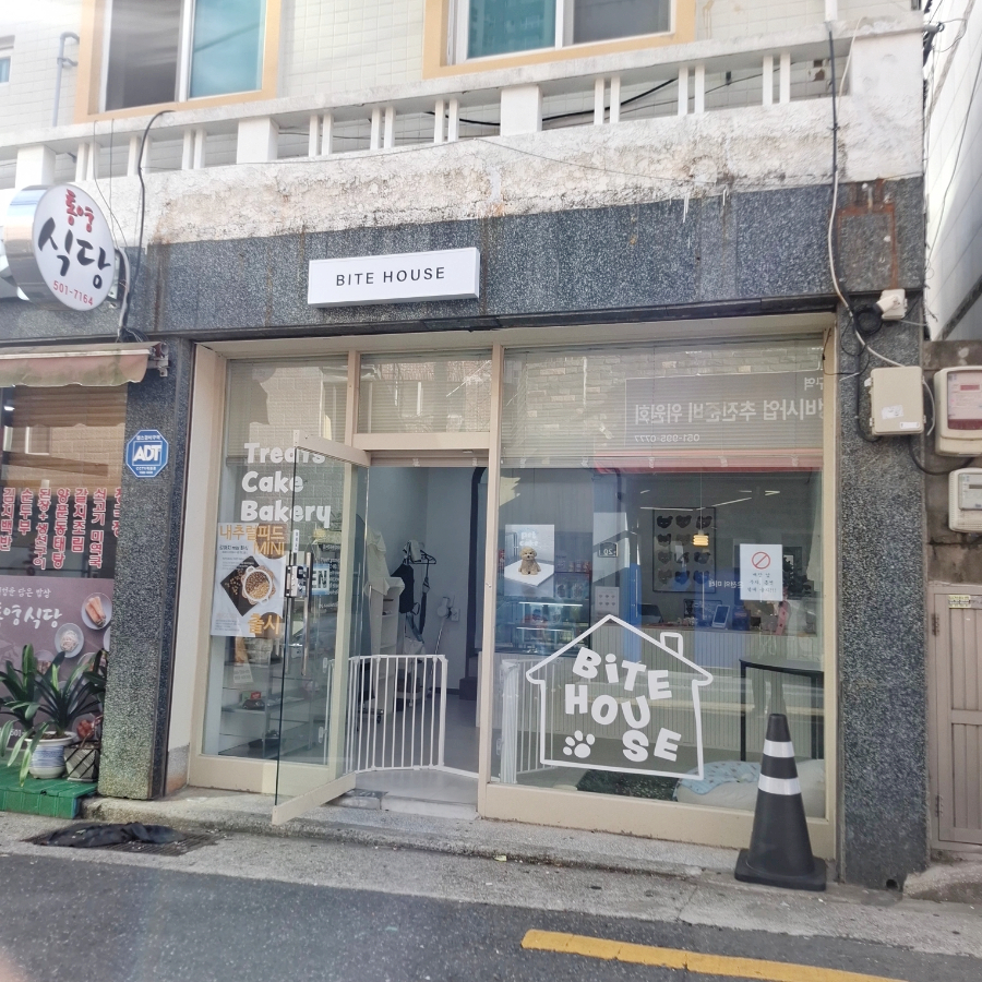 부산 강아지 수제간식 바이트하우스, 케이크 맛집 후기 — 사진 2