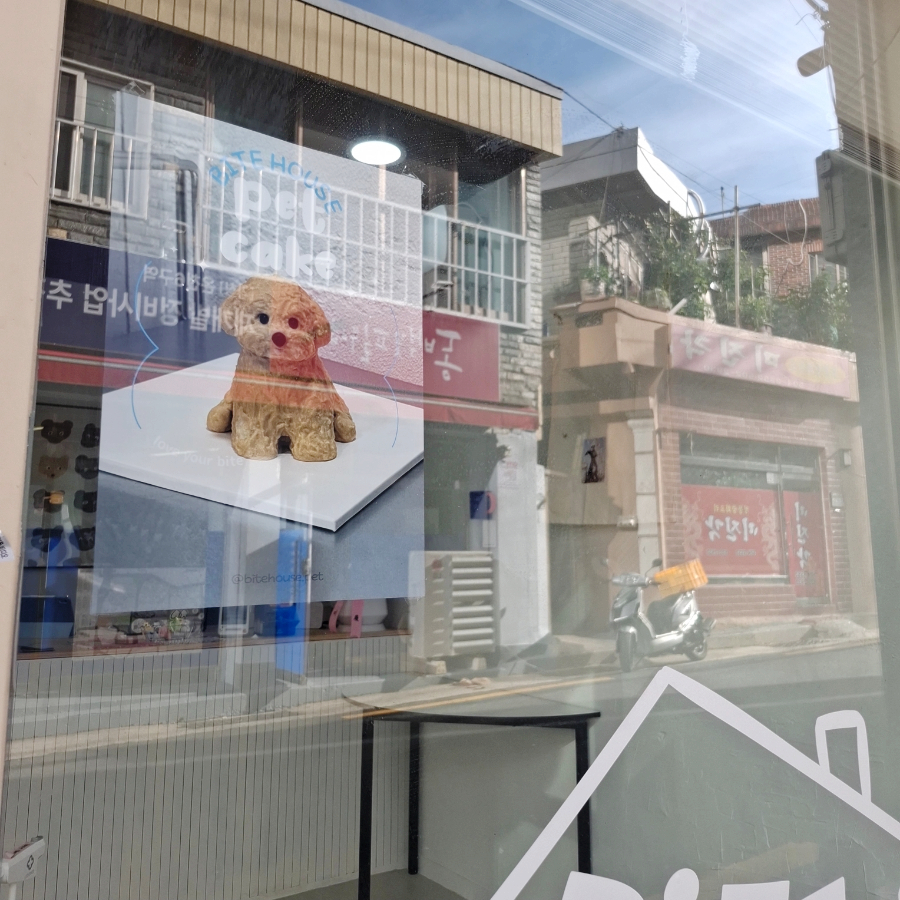부산 강아지 수제간식 바이트하우스, 케이크 맛집 후기 — 사진 3