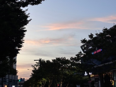 토리키치 가산점 사진 4