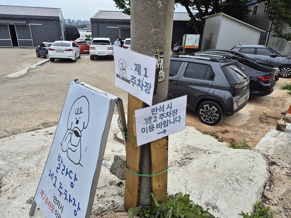 인천 대형견 가능한 애견카페 발라당, 강아지 수영장 후기 — 사진 4