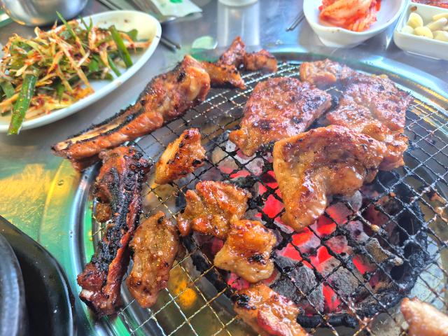 복돼지 사진 7