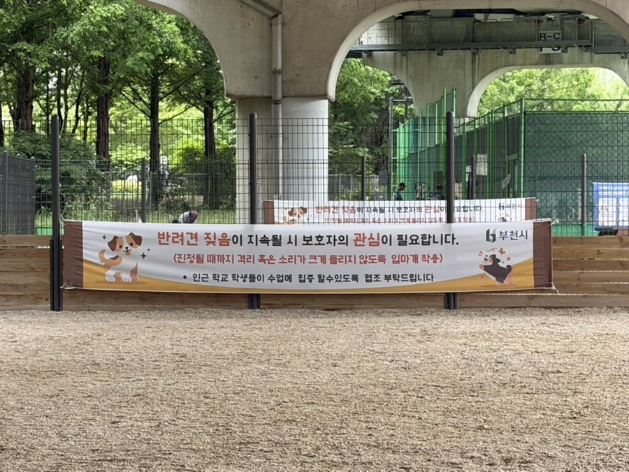 부천 송내 반려견 놀이터, 무료 야외 운동장 후기 — 사진 9