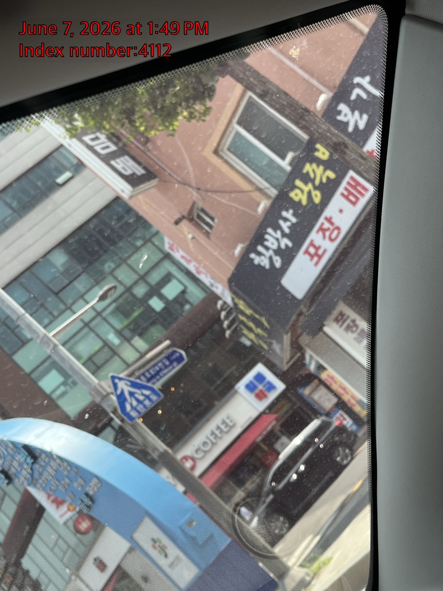 강아지 슬개골탈구 수술 비용 및 회복 과정 안내 — 사진 5