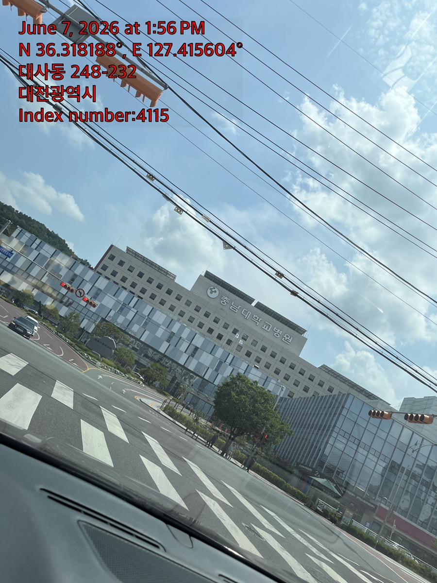 강아지 슬개골탈구 수술 비용 및 회복 과정 안내 — 사진 2