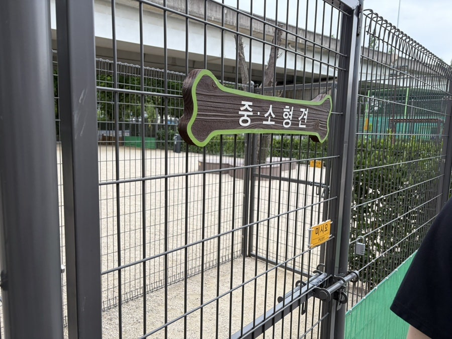 부천 송내 반려견 놀이터, 무료 야외 운동장 후기 — 사진 5