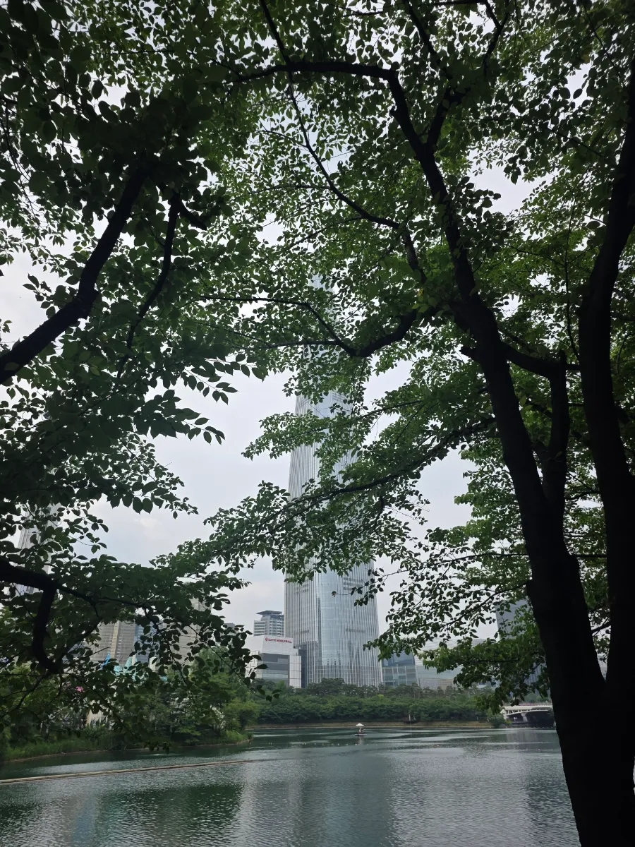 노랑통닭 석촌호수점 사진 4