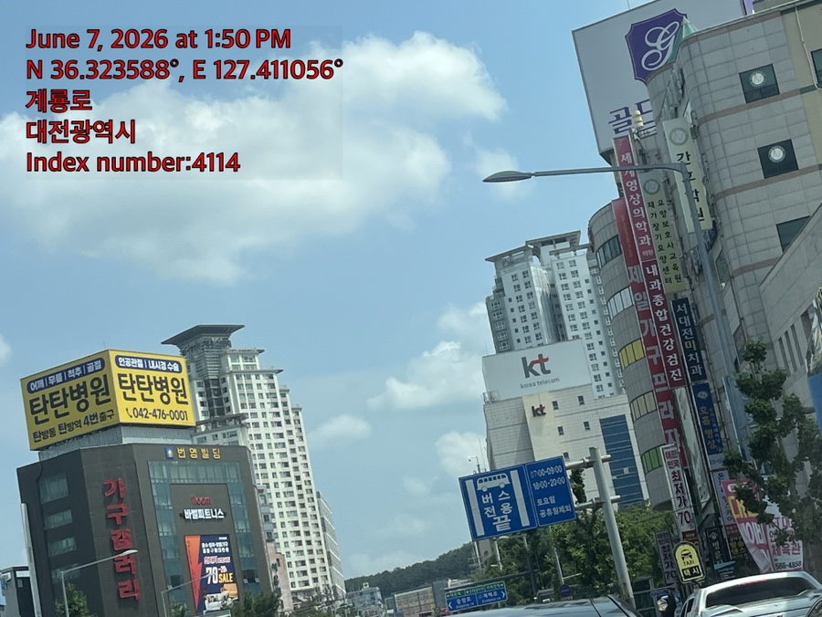 강아지 슬개골탈구 수술 비용 및 회복 과정 안내 — 사진 3