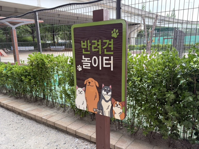 강아지 부천 송내 반려견 놀이터, 무료 야외 운동장 후기