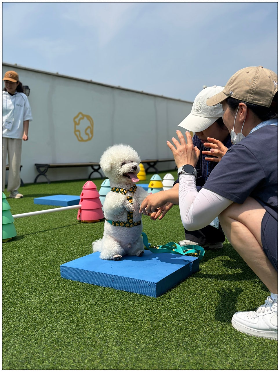수원 애견유치원 털로덮인친구들 운동회 후기 — 사진 9
