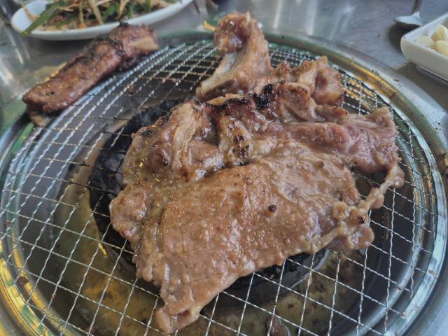 복돼지 사진 8