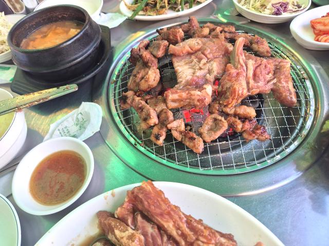 복돼지 사진 6