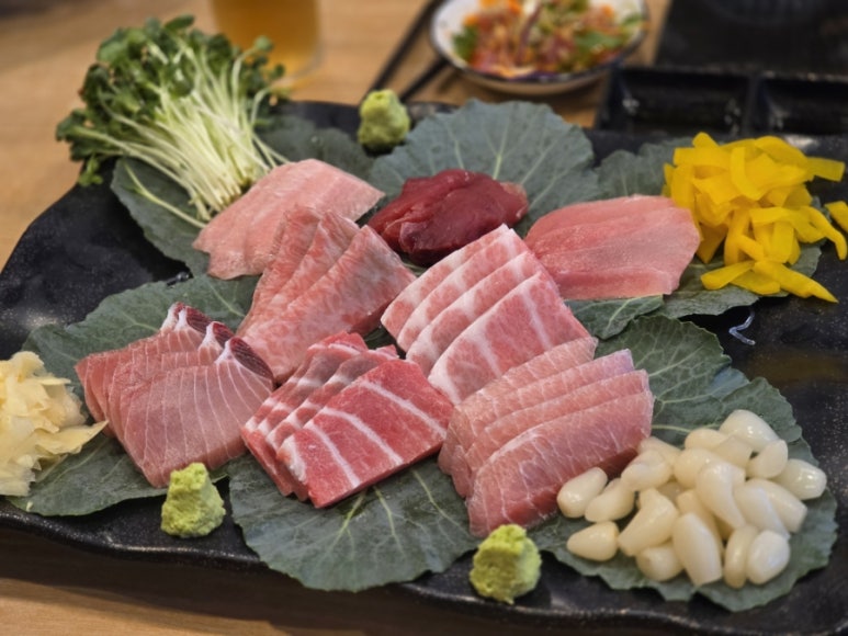 준참치 사진 3