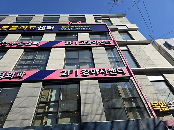 강아지 담낭절제술 비용, 송도 모모동물병원 후기 — 사진 2