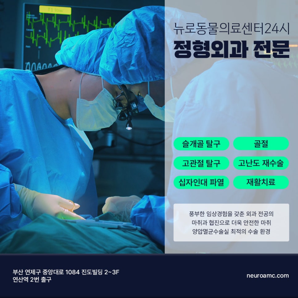 부산 강아지 슬개골 수술 후기: 연산동 24시 병원 비용 및 회복 — 사진 9