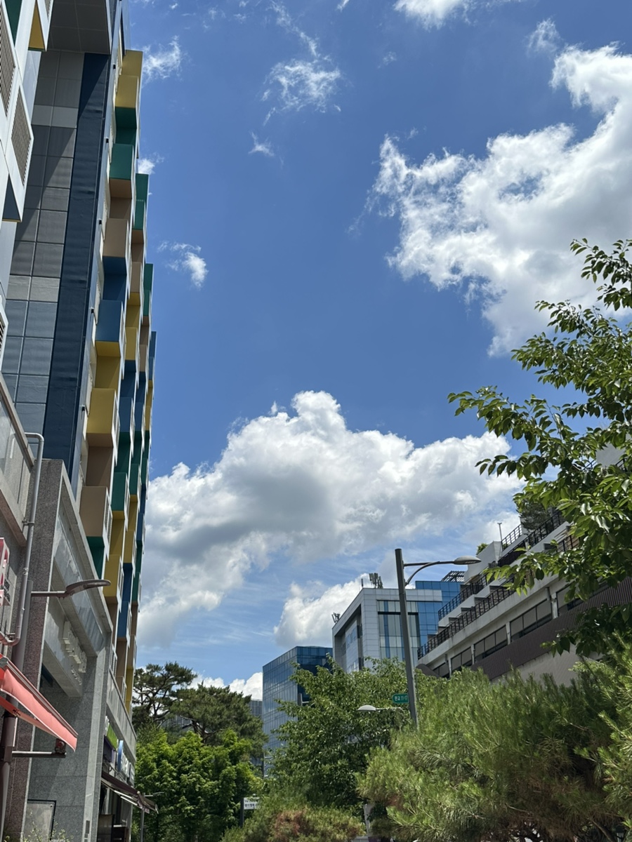 엘핀 사진 8