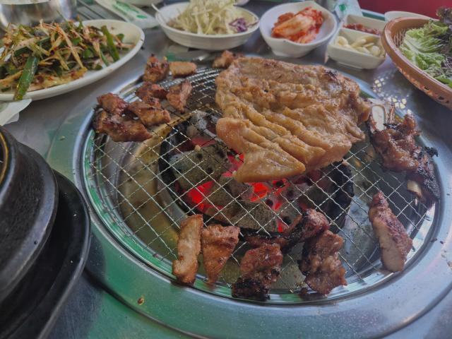 복돼지 사진 4