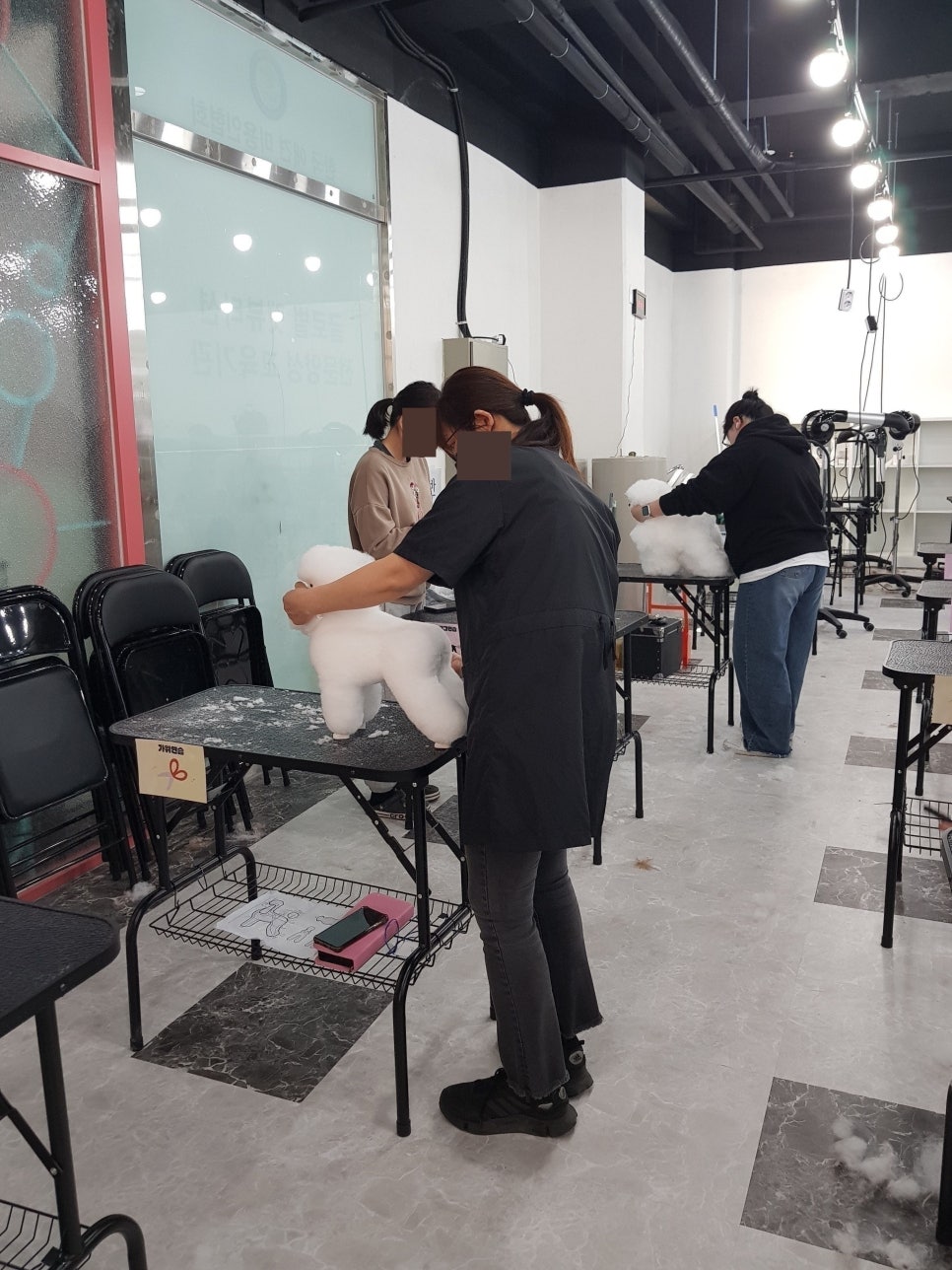 수원 애견미용학원 비용·시간표: 주부의 솔직 후기 — 사진 2