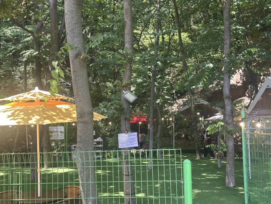 시흥 영화산장 애견카페: 소형견·중형견 분리 운동장 후기 — 사진 7
