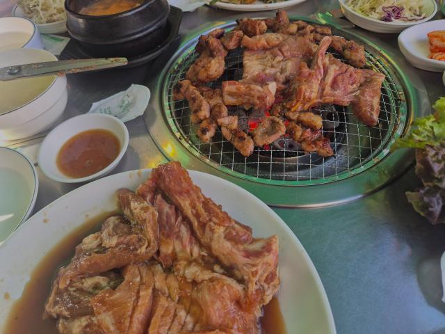 복돼지 사진 5