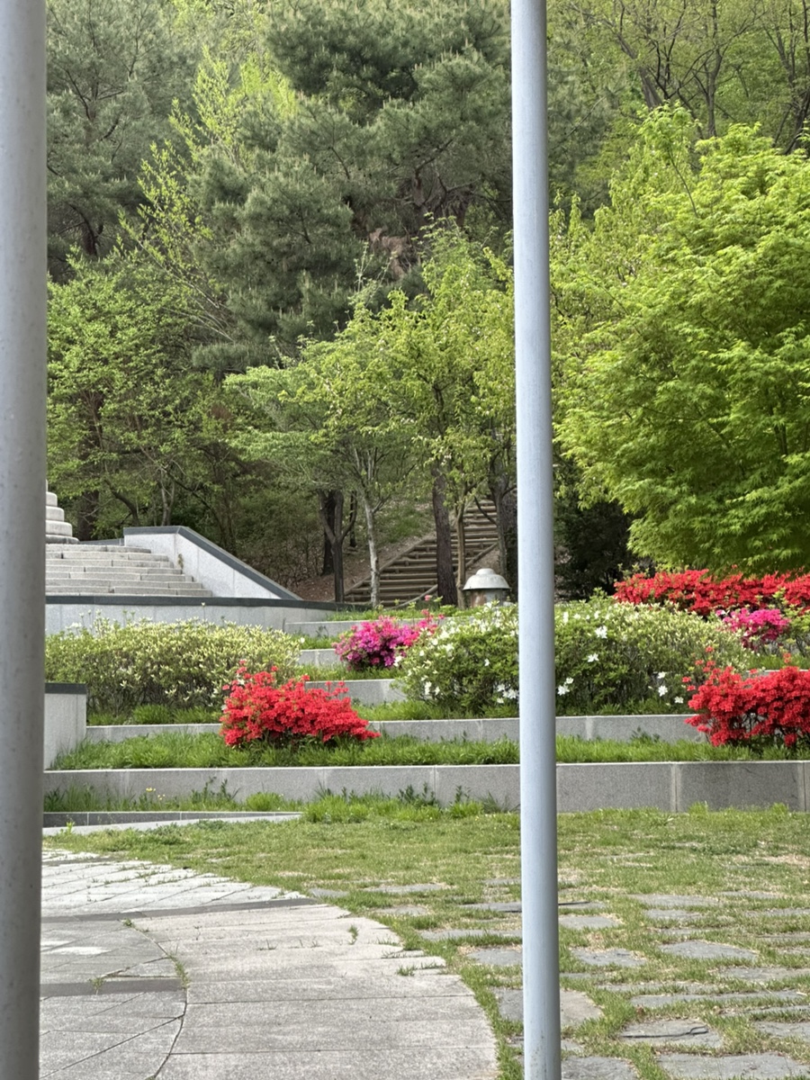 엘핀 사진 6