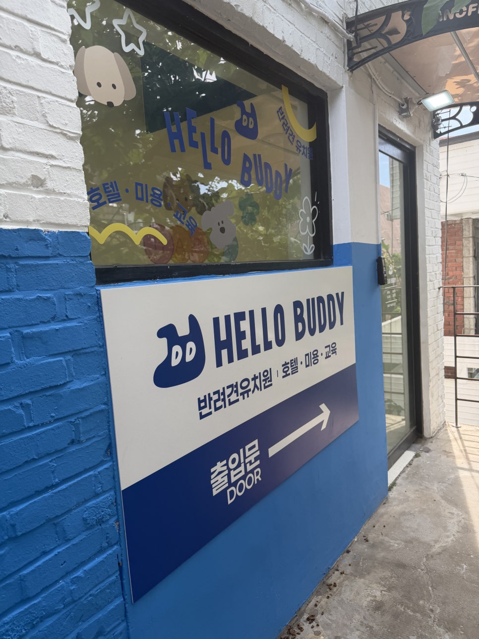 마포 애견유치원 헬로우버디 홍대점 체험 후기 — 사진 2