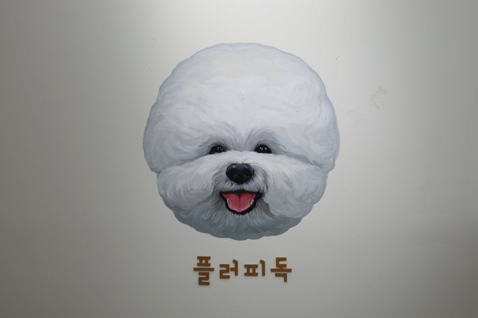 강아지 브로콜리컷 미용 비용 및 후기 — 사진 20