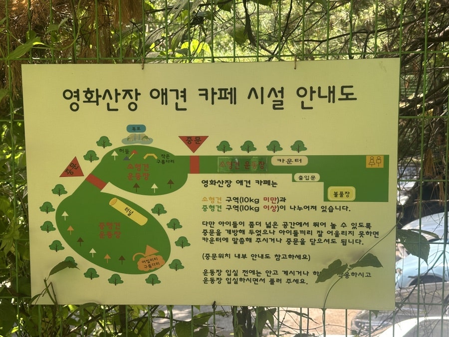 시흥 영화산장 애견카페: 소형견·중형견 분리 운동장 후기 — 사진 3