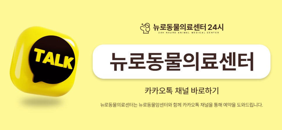 부산 강아지 슬개골 수술 후기: 연산동 24시 병원 비용 및 회복 — 사진 11