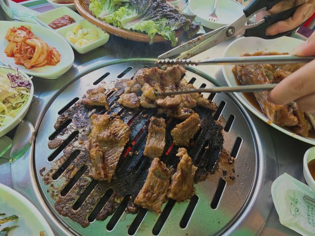 복돼지 사진 3