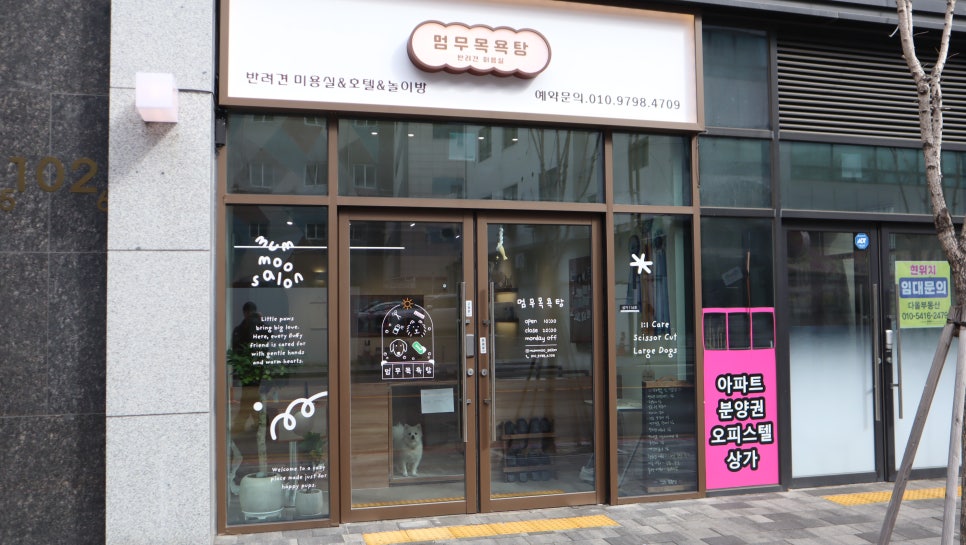 대구 동구 멈무목욕탕 강아지 미용 비용 및 후기 — 사진 2