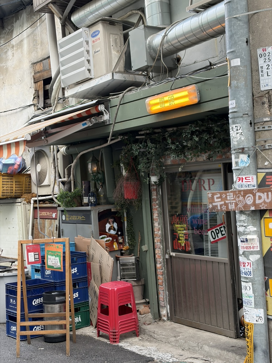 두릅 사진 7