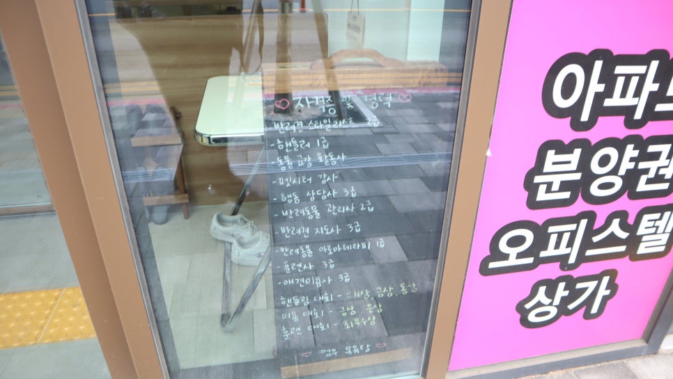 대구 동구 멈무목욕탕 강아지 미용 비용 및 후기 — 사진 3