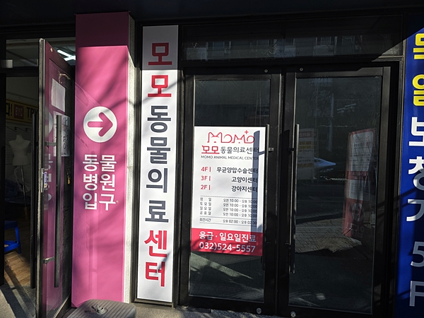 강아지 담낭절제술 비용, 송도 모모동물병원 후기 — 사진 3