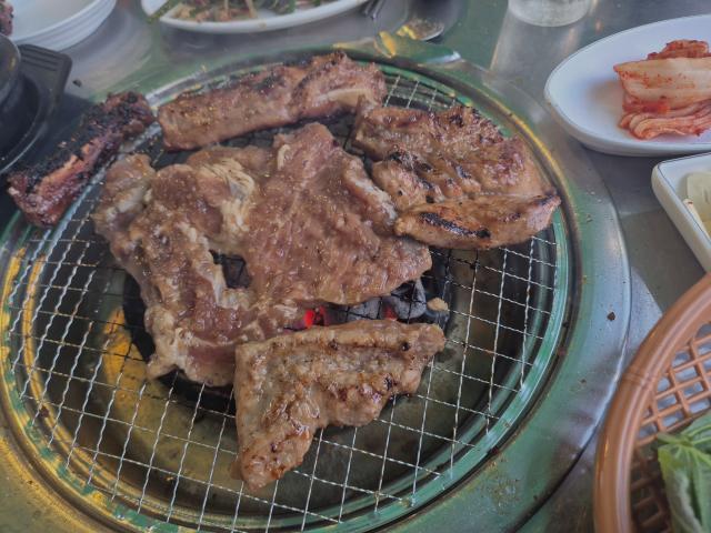 복돼지 사진 2