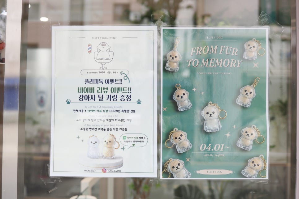 강아지 브로콜리컷 미용 비용 및 후기 — 사진 11