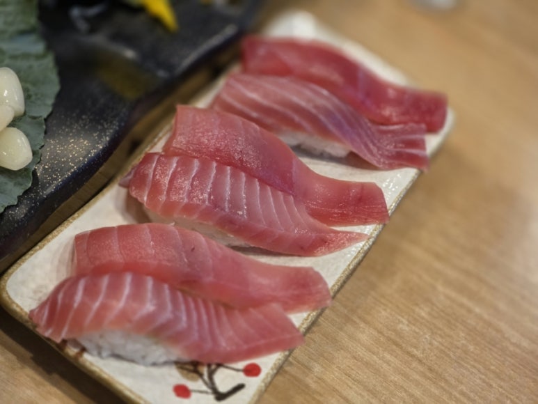 준참치 사진 7