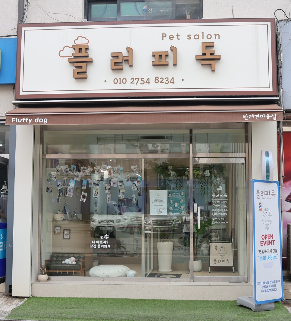 강아지 브로콜리컷 미용 비용 및 후기 — 사진 9