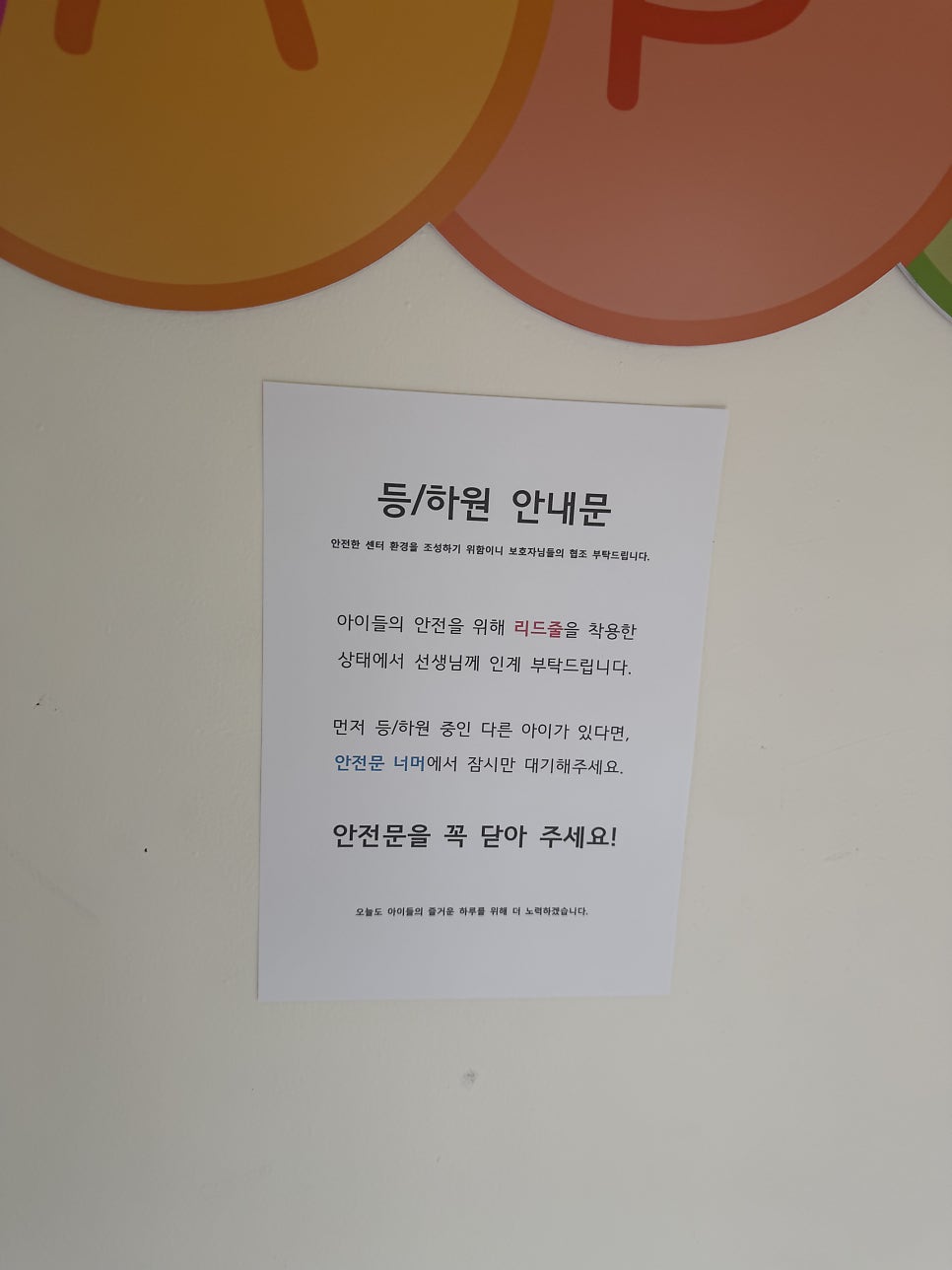 마포 애견유치원 헬로우버디 홍대점 체험 후기 — 사진 4