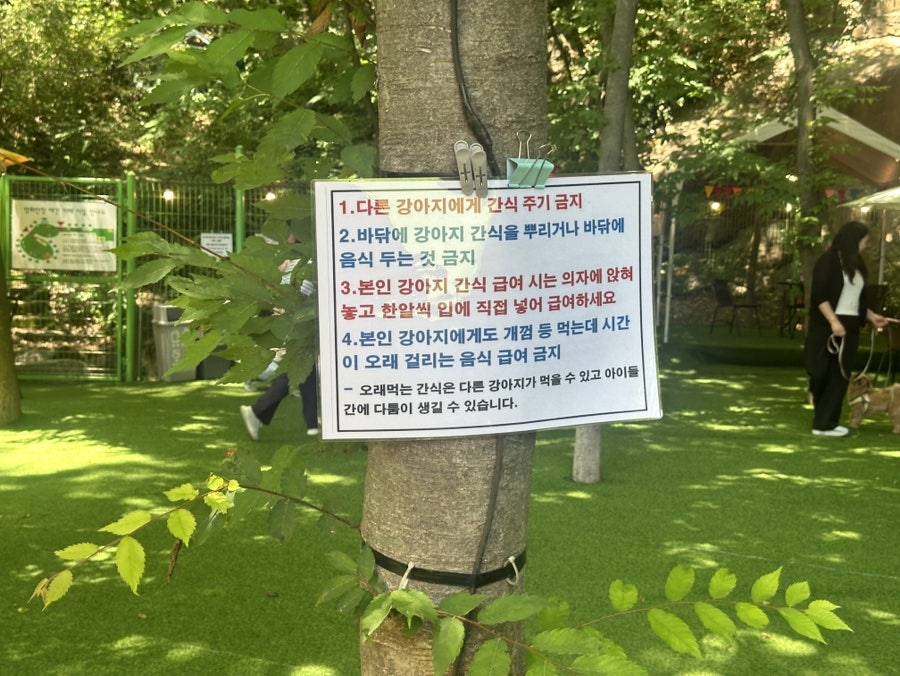 시흥 영화산장 애견카페: 소형견·중형견 분리 운동장 후기 — 사진 11
