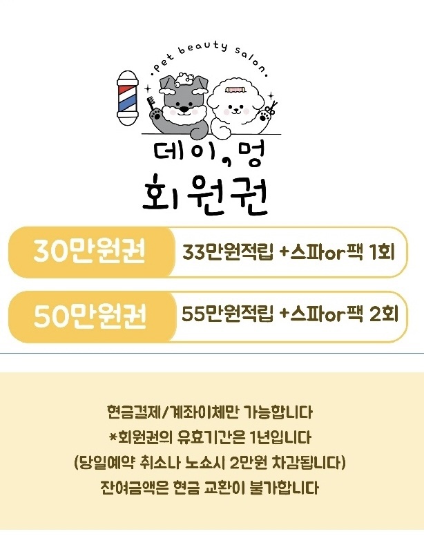 마포 비숑 귀툭튀 가위컷, 인형 변신 미용 후기 — 사진 10