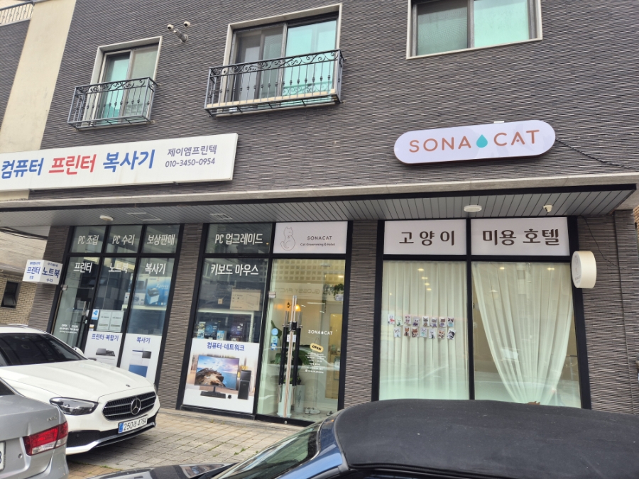 호매실 고양이 무마취 미용 후기: 소나캣 비용 및 장점