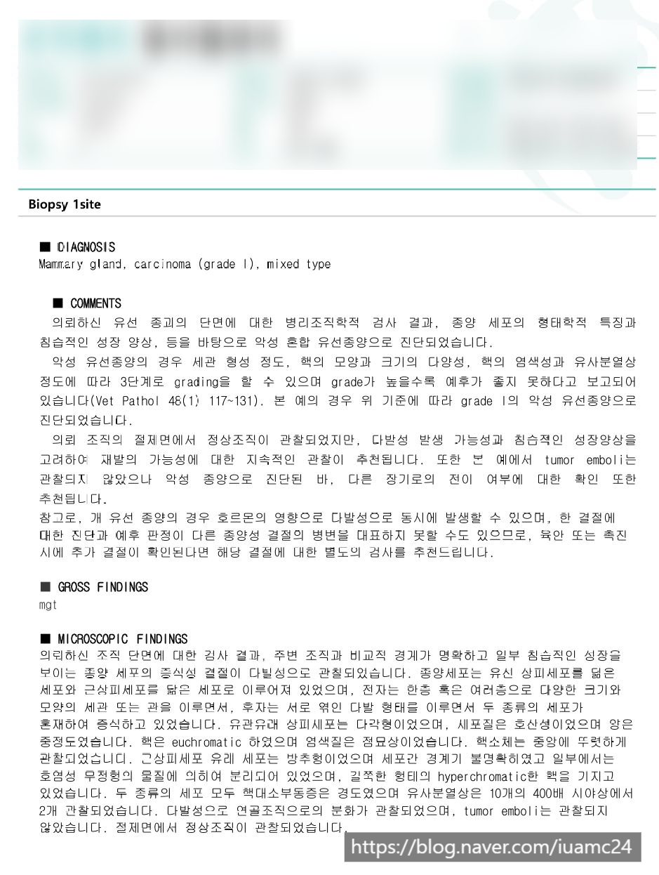 강아지 유선종양 수술, 의정부 아이유동물병원 비용 및 후기 — 사진 7