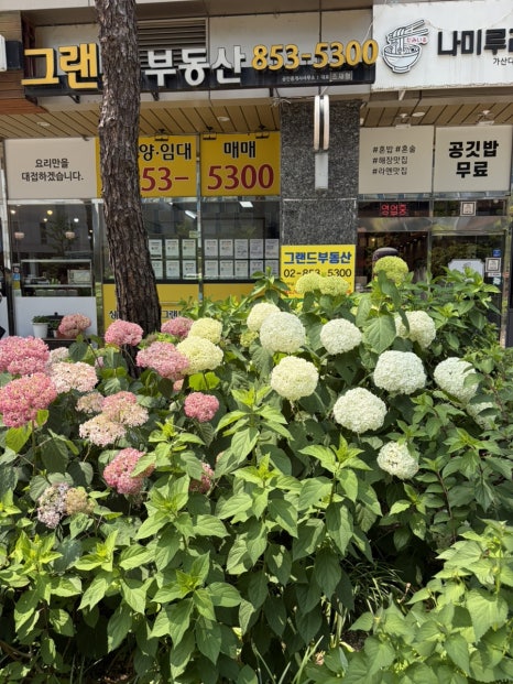 국향당보쌈국밥 사진 7