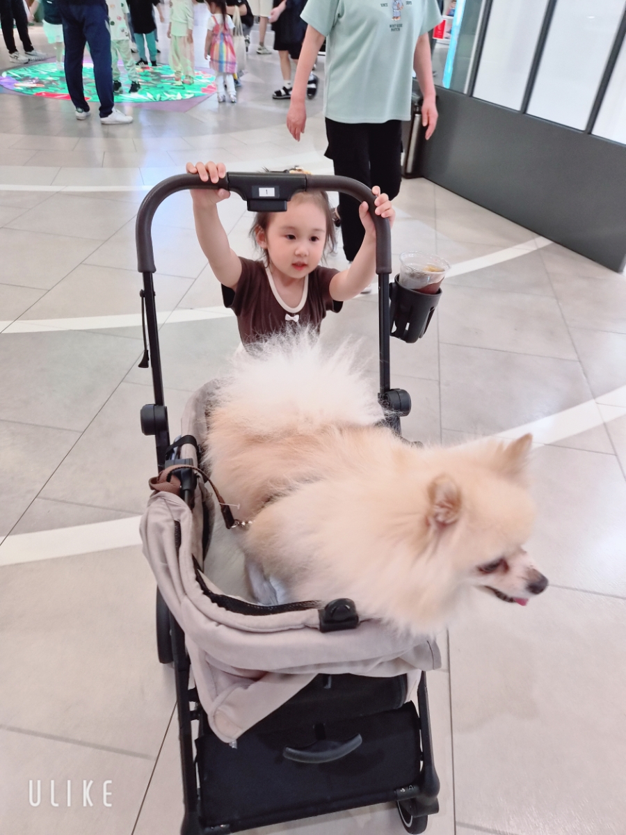 부천 스타필드 애견동반 개모차 대여 및 아이랑 놀거리 — 사진 9