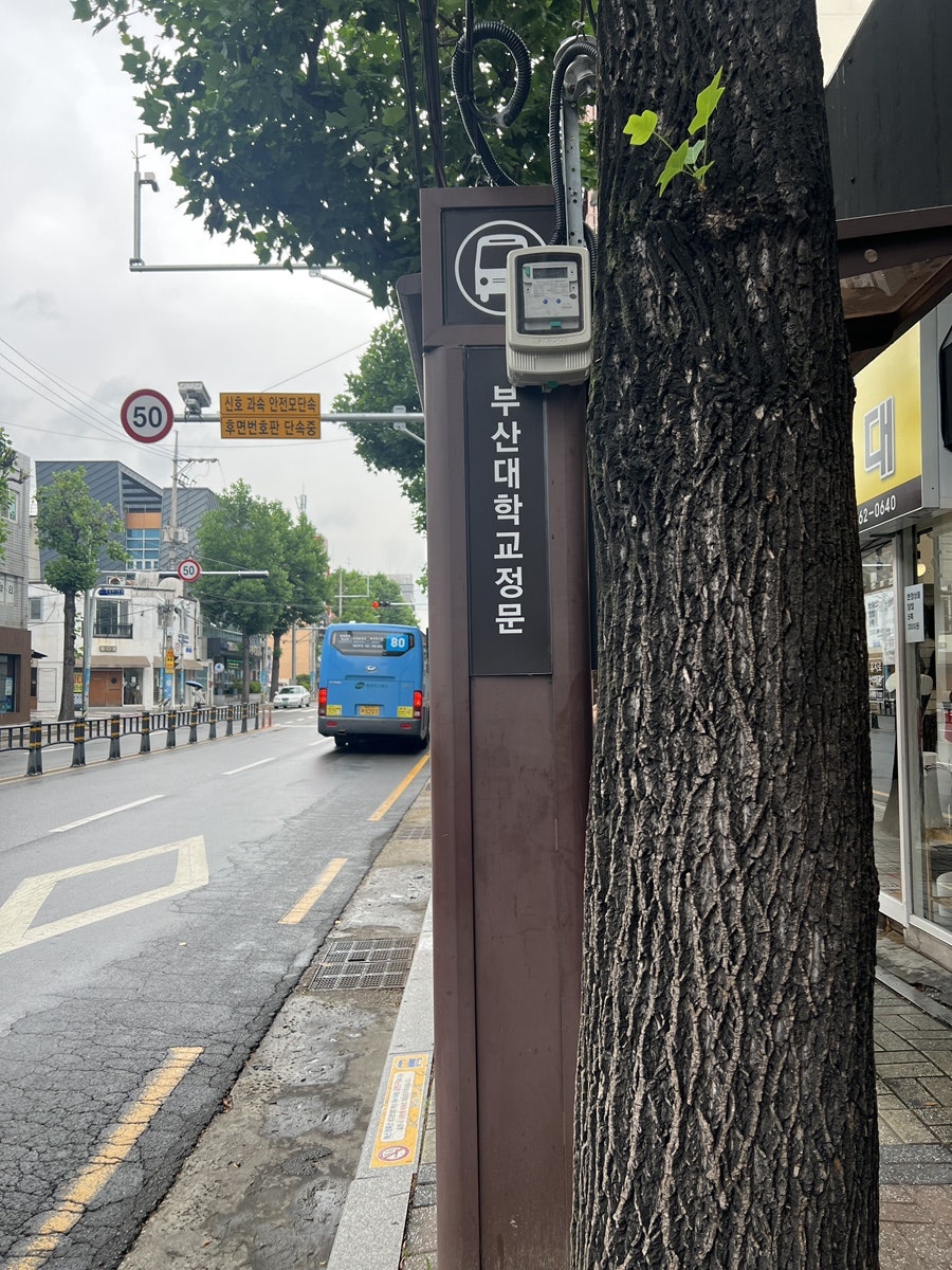 부산대 꽃꽂이 원데이클래스: 카라플로리스트학원 후기 — 사진 5